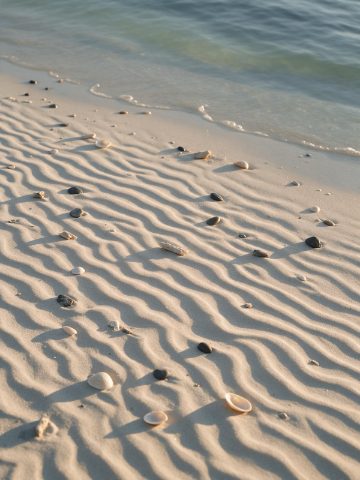 Ripples in sand